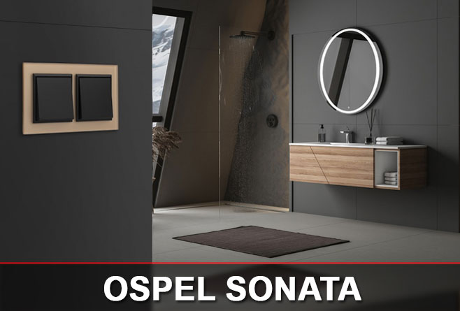 Podwójny czarny łącznik Ospel Sonata w złotej ramce zamontowany w nowoczesnej łazience z prysznicem i okrągłym lustrem.