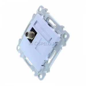 GPA-1ZF/m/00