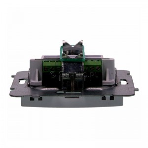 GPT-2GN/m/00