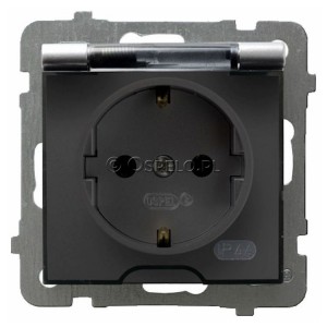 GPH-1GS/m/18/d Gniazdo bryzgoszczelne z uziemieniem Schuko IP44, wieczko przezroczyste 16A (Zaciski śrubowe) Srebro Ospel As - Widok z przodu