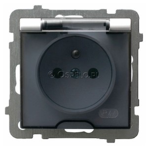 GPH-1GZ/m/00/d Gniazdo bryzgoszczelne z uziemieniem IP44, wieczko przezroczyste 16A (Zaciski śrubowe) Biały Ospel As - Widok z przodu