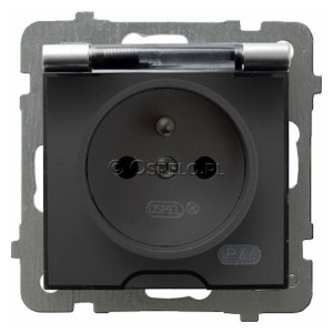 GPH-1GZ/m/18/d Gniazdo bryzgoszczelne z uziemieniem IP44, wieczko przezroczyste 16A (Zaciski śrubowe) Srebro Ospel As - Widok z przodu