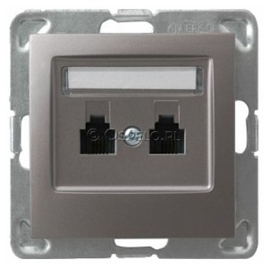 GPT-2YR/m/23 Gniazdo telefoniczne podwójne równoległe Tytan Ospel Impresja - Widok z przodu