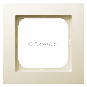 R-1G/27 - Widok z przodu