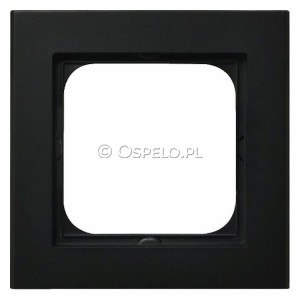 R-1R/33 - Widok z przodu