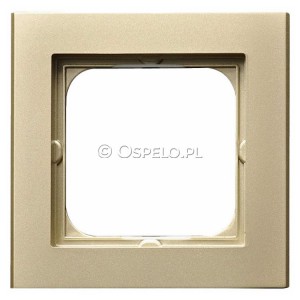 R-1R/39 - Widok z przodu