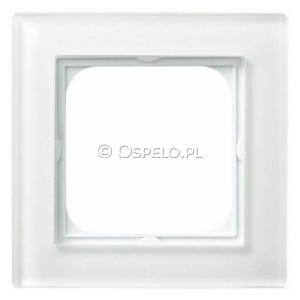 R-1RG/31 - Widok z przodu