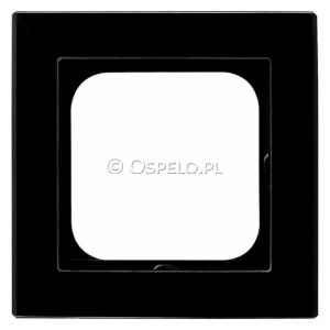 R-1RG/32 - Widok z przodu