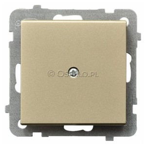 Z-1R/m/39 Zaślepka Szampański Złoty Ospel Sonata - Widok z przodu